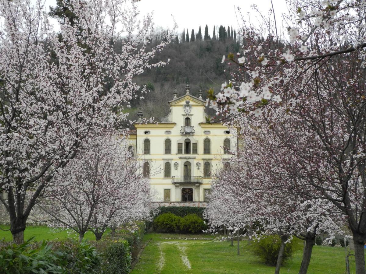 Appartamento Casa Diso 2016 Vittorio Veneto Esterno foto